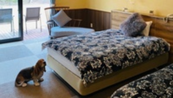 【ペット同宿専用】洋室ツイン/プライベートドッグラン付